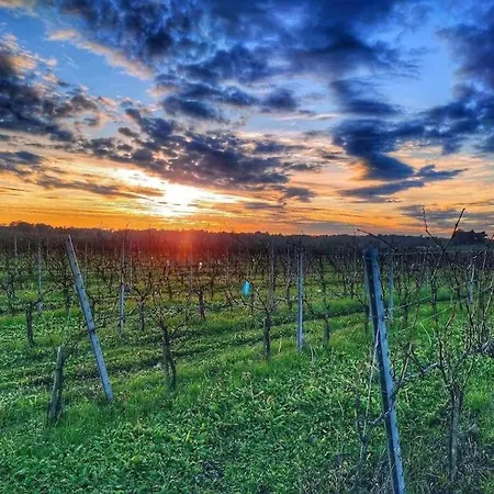 Avec Piscine Au Coeur De La Campagne Apartman *